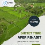 SHITET TOKË AFËR RINASIT