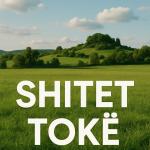 SHITET TOKE NE MULLET!!