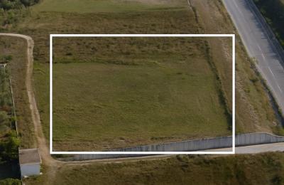 Shitet Toke prane Teg