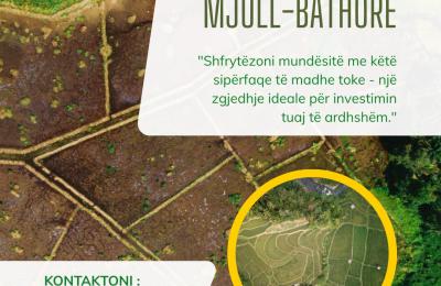 SHITET TOKË NË MJULL BATHORE