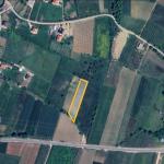 SHITET TOKE NE QEHA AFER ( Equos Resort )