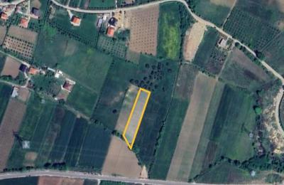 SHITET TOKE NE QEHA AFER ( Equos Resort )