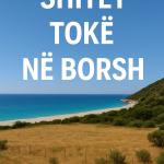 SHITET TOKË NË BORSH