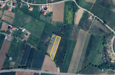 SHITET TOKE NE QEHA AFER ( Equos Resort )