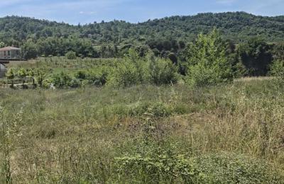 Shitet Toke afer Rolling Hills