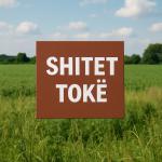 Shitet Toke ne Sektorin Rinia-Durrës