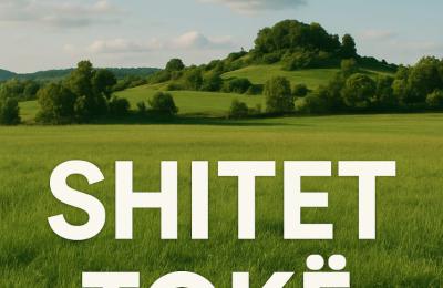 SHITET TOKE NE MULLET!!