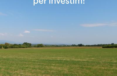 SHITET TOKË NË PICALLË