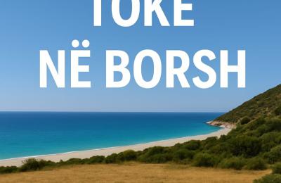 SHITET TOKË NË BORSH